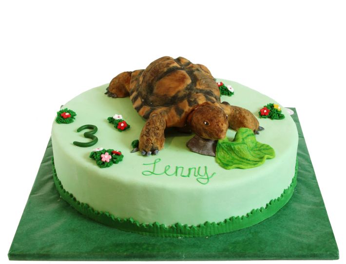 Landschildkröten Torte