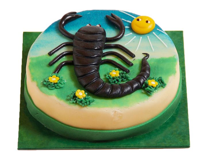 Skorpion (24.10. - 22.11.) Torte