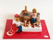 Sonderanfertigung - Bild 207