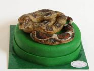 Sonderanfertigung - Bild 394