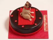 Sonderanfertigung - Bild 53