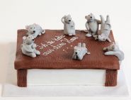 Sonderanfertigung - Bild 76